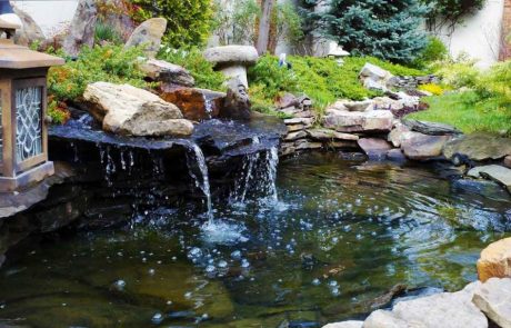 landscaped koi pond with a waterfall