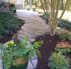stone pathway lined with plants in a backyard
